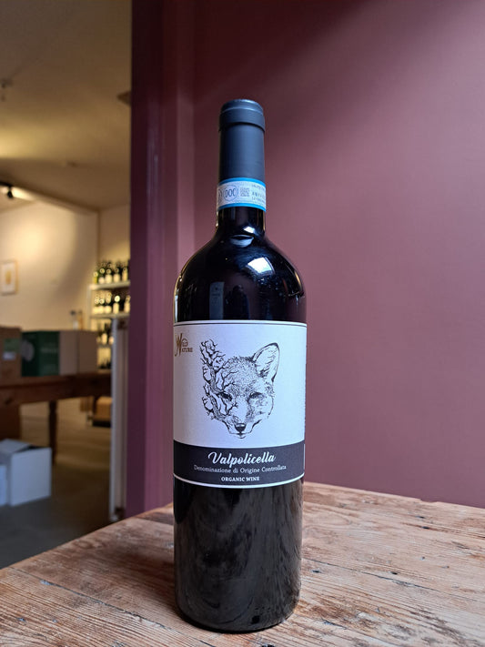 Wild Nature – Lorenzo Fidora - Valpolicella DOC 2019